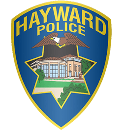 Lesley Hayes, Senior Crime and Intelligence Analyst image